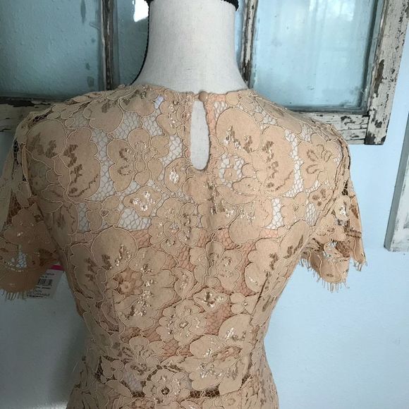 Beautiful NWT NSR Dress - Picture 9 of 14